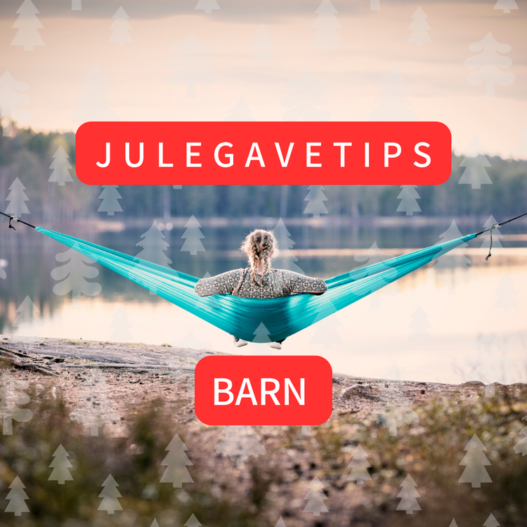 Julegave tips til barn