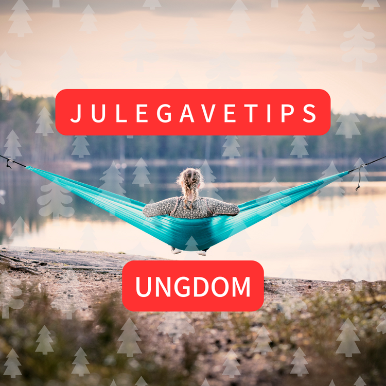 Julegave tips til ungdom